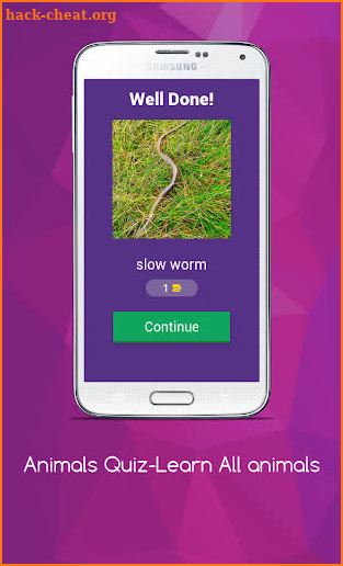 Animals Quiz — Learn All Animal Trivia Game 2019 screenshot