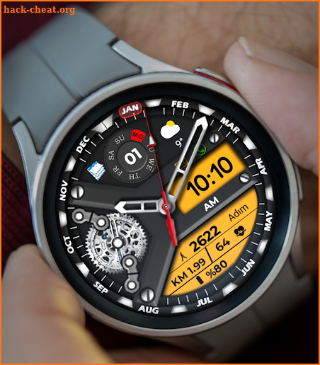 Animated FS W250 Watchface screenshot