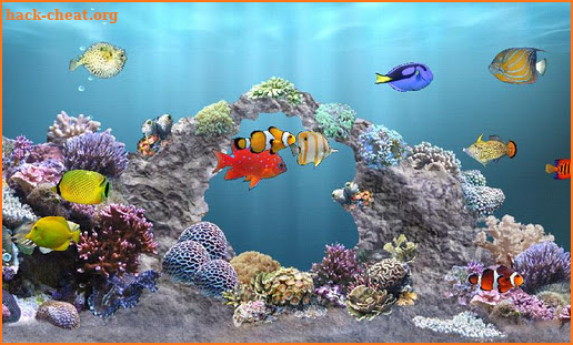 aniPet Marine Aquarium HD screenshot