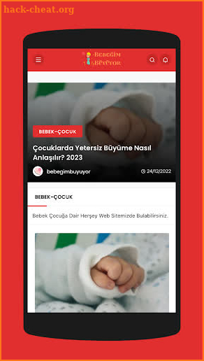 Anne Bebek Uygulaması Programı screenshot