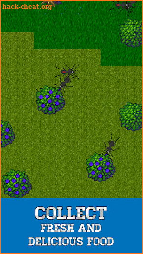 Ant Evolution screenshot