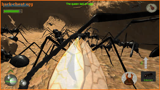 Ant Simulation 3D Full screenshot