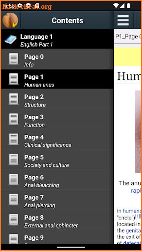 Anus Anatomy screenshot