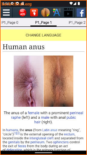 Anus Anatomy screenshot