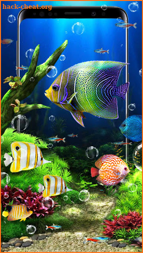 Aquarium Fish Live Wallpaper screenshot