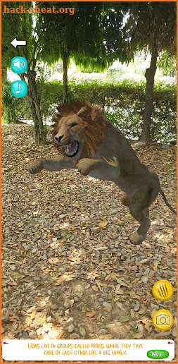 AR Animals screenshot