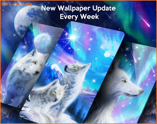 Arctic Wolf Live Wallpapers Themes screenshot