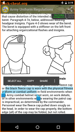 Army Uniform Regulations screenshot