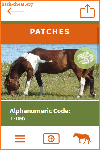 Assateague HorseID screenshot