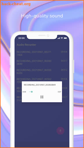 Audio Recorder screenshot