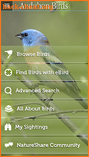 Audubon Birds of North America screenshot