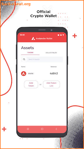 Avalanche - AVAX wallet screenshot