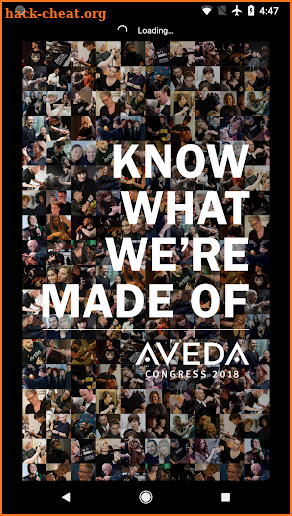 Aveda Congress screenshot