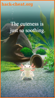 Axolotl Pet screenshot