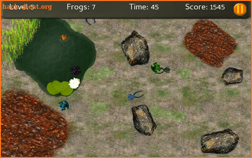 Baby Frogs screenshot