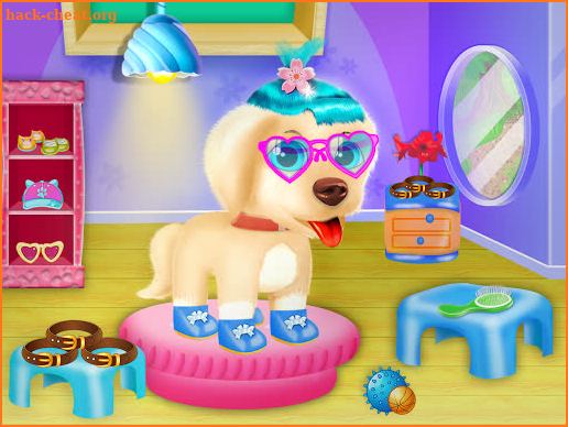 Baby Pet Labrador Care Puppy Nanny Daycare screenshot