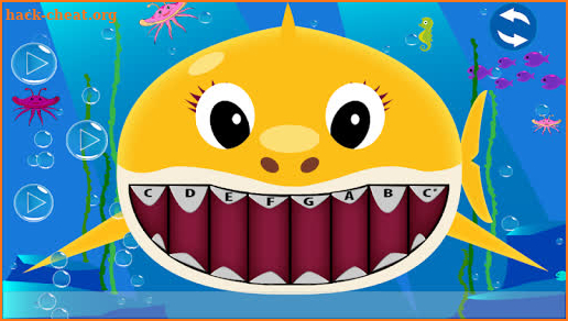 Baby Shark Music screenshot