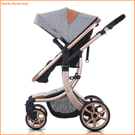 Baby Stroller Recommendations screenshot