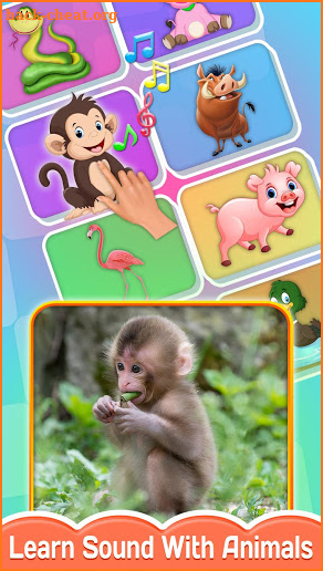 Baby Touch - Animal, Birds & Vehicles Sound screenshot