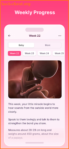 babybell — Pregnancy Tracker screenshot