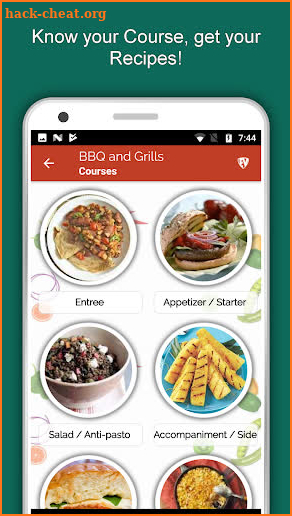 Barbecue Grill Recipes Offline, BBQ, Roast Food screenshot