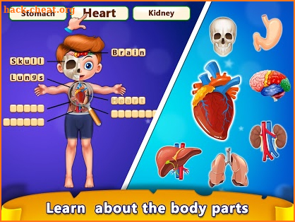 Basic Skill Learning Human Body Parts screenshot