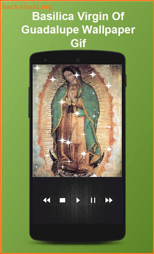 Basilica Virgin Of Guadalupe Wallpaper Gif screenshot