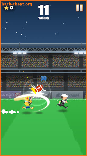 Batsman Run screenshot