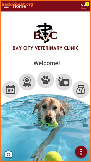 Bay City Vet and Equine screenshot