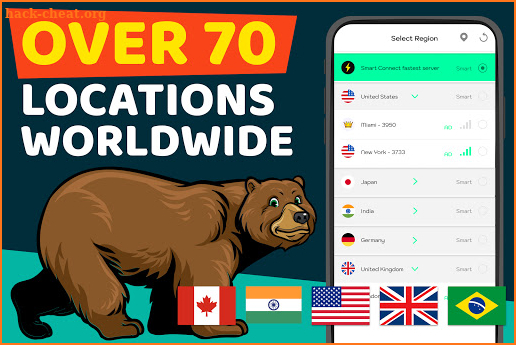 Bear VPN screenshot