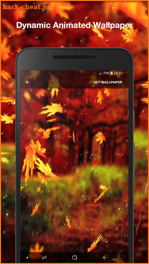 Beautiful Autumn Live Wallpaper PRO screenshot