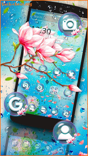 Beautiful Flower With Rain Drops Theme screenshot