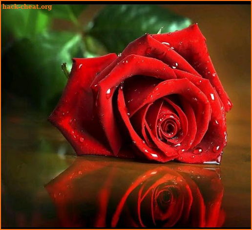 Best Flowers - Live Wall Romantic Flowers Animated screenshot