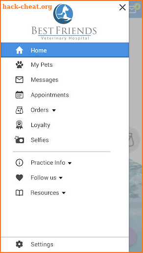 Best Friends Veterinary screenshot
