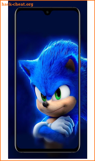 Best Hedgehog Wallpaper HD screenshot