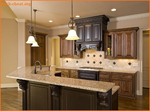 Best Kitchen Cabinets Design screenshot