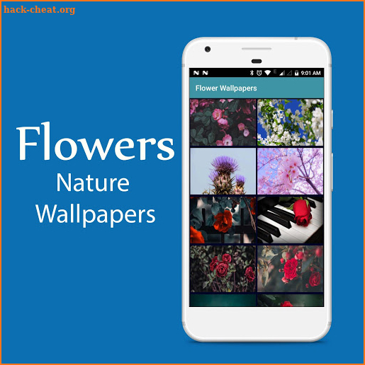 Best Nature Wallpapers screenshot