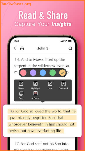 Bible Women - Pray & Verse screenshot