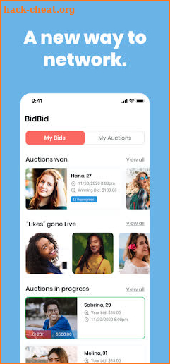 BidBid screenshot