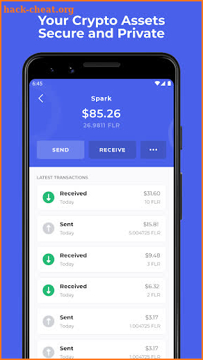 Bifrost Wallet — Songbird, Flare, Crypto Wallet screenshot