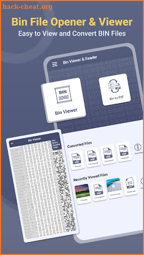 Bin File Opener - Viewer screenshot