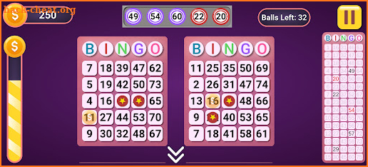 Bingo Classic Offline screenshot