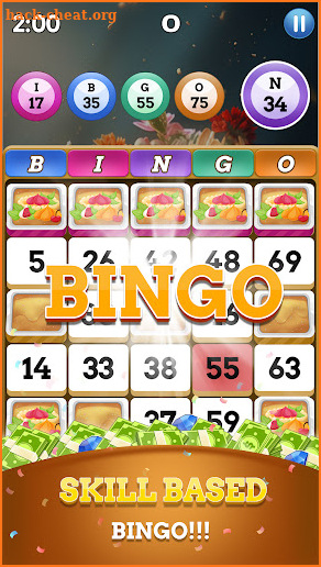 Bingo Legend screenshot