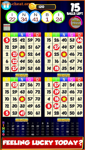 Bingo: New Free Cards Game - Vegas and Casino Feel screenshot