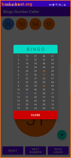 Bingo Number Generator screenshot