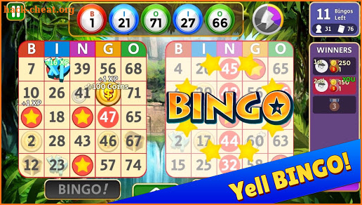 Bingo Star screenshot