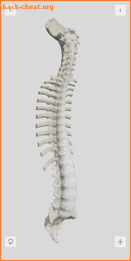 Biomechanics of the Spine Lite screenshot