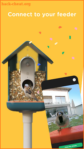 Bird Buddy: Smart Bird Feeder screenshot