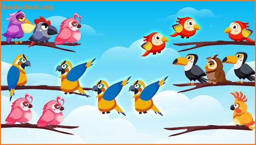 Bird Color Sort Puzzle screenshot