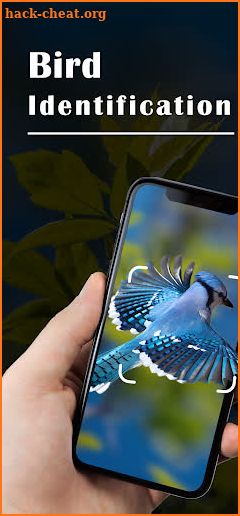 Bird Identifier - Picture Bird screenshot